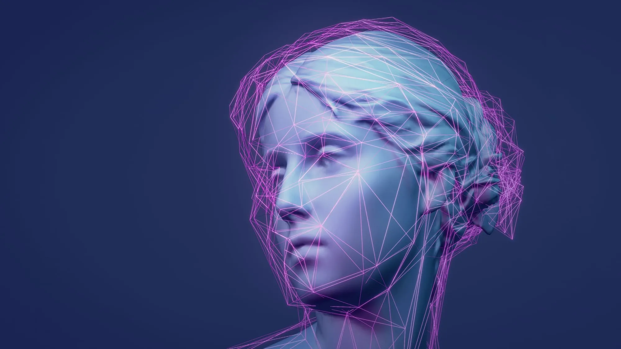 Volto scultoreo ricostruito in wireframe digitale